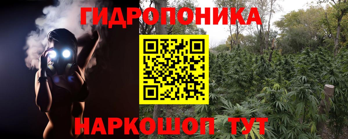 Конопля OG Kush Гусиноозёрск